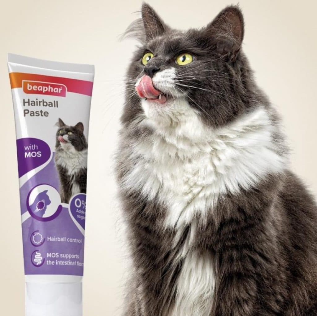 پت شاپ پت هاوس در گیشا تهران