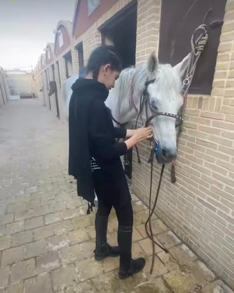 باشگاه سوارکاری و پانسیون هورس کلاب کاشان اصفهان