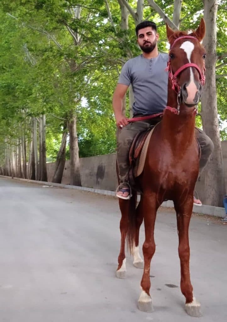 باشگاه سوارکاری و آموزش و پانسیون و خرید و فروش اسب شاهان کردان