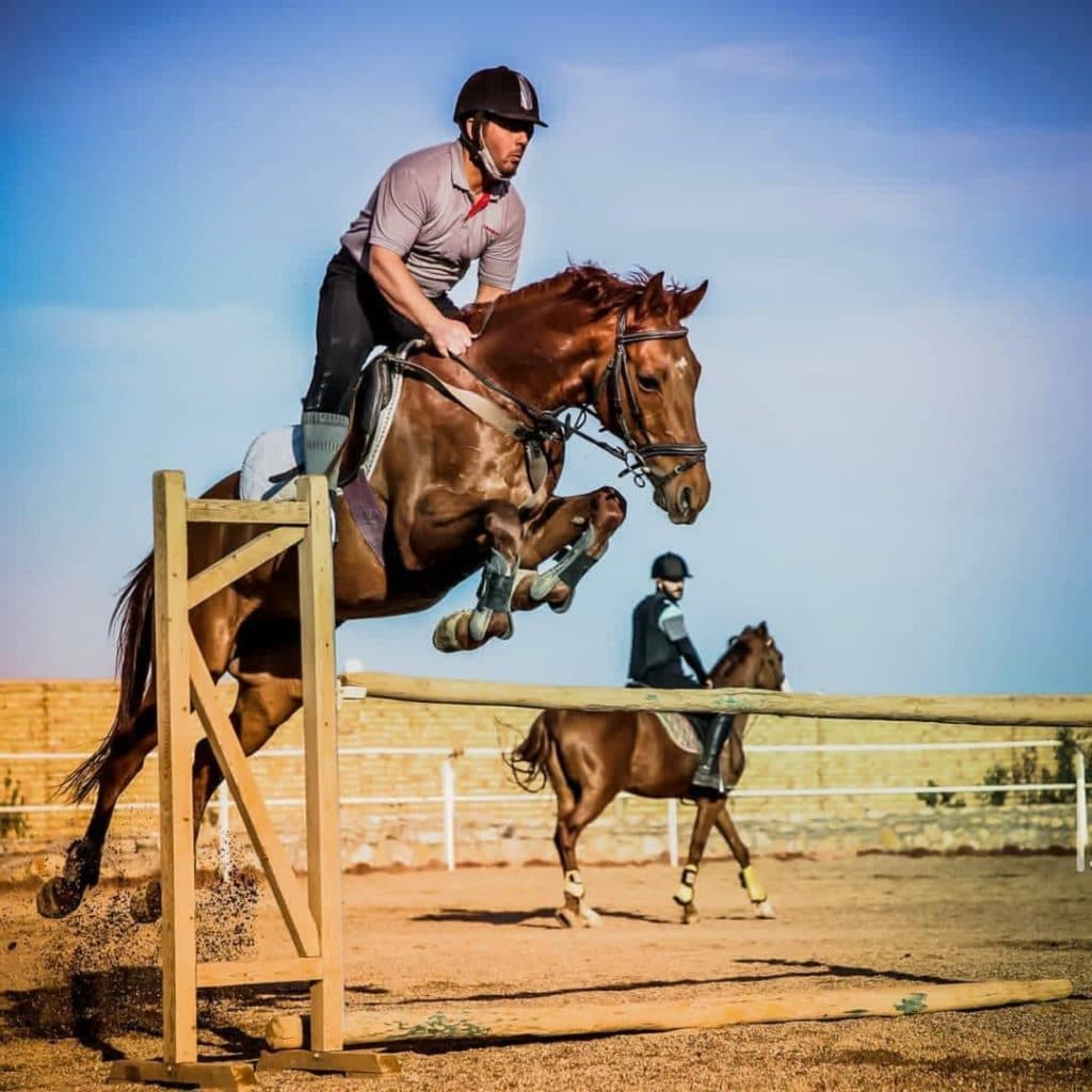 باشگاه سوارکاری و پانسیون و لوازم سوارکاری کاوه در دامغان سمنان