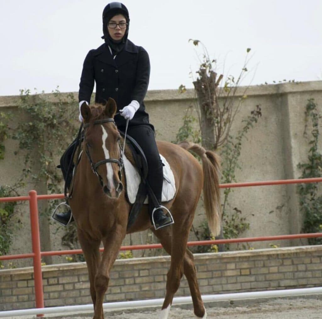 باشگاه سوارکاری و پانسیون و لوازم سوارکاری کاوه در دامغان سمنان