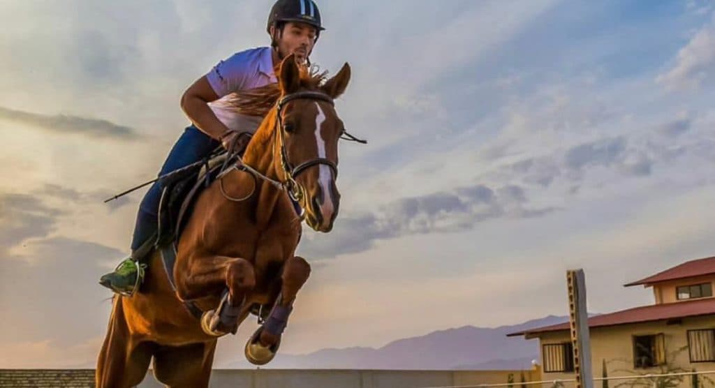 باشگاه سوارکاری و پانسیون و لوازم سوارکاری کاوه در دامغان سمنان