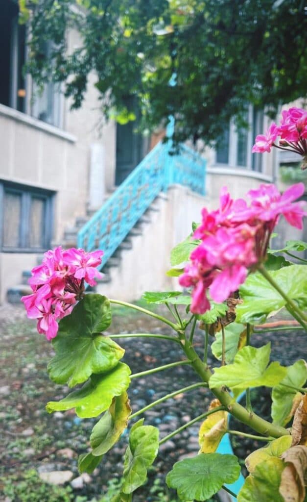 کافه موزه عکس ارکاک در رشت