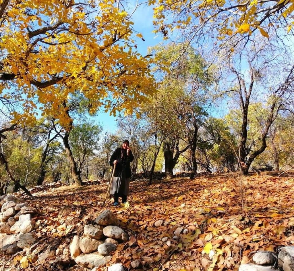 اقامتگاه بوم گردی ارجنک سرچهان فارس