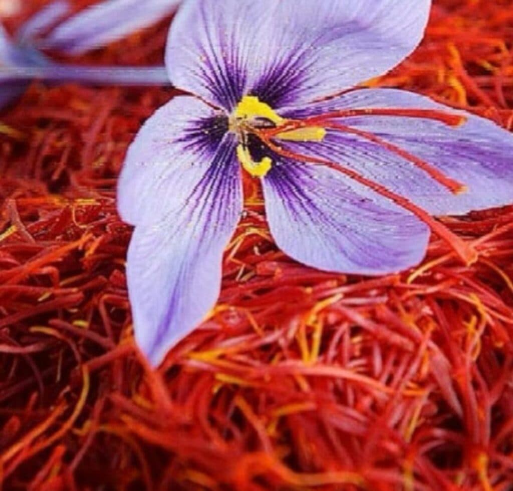 حجره حاجی زعفرون در رشت