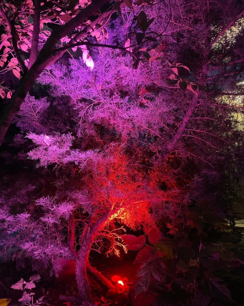 دوربین مداربسته و دزدگیر تکنولوژی اطمینان در مشهد