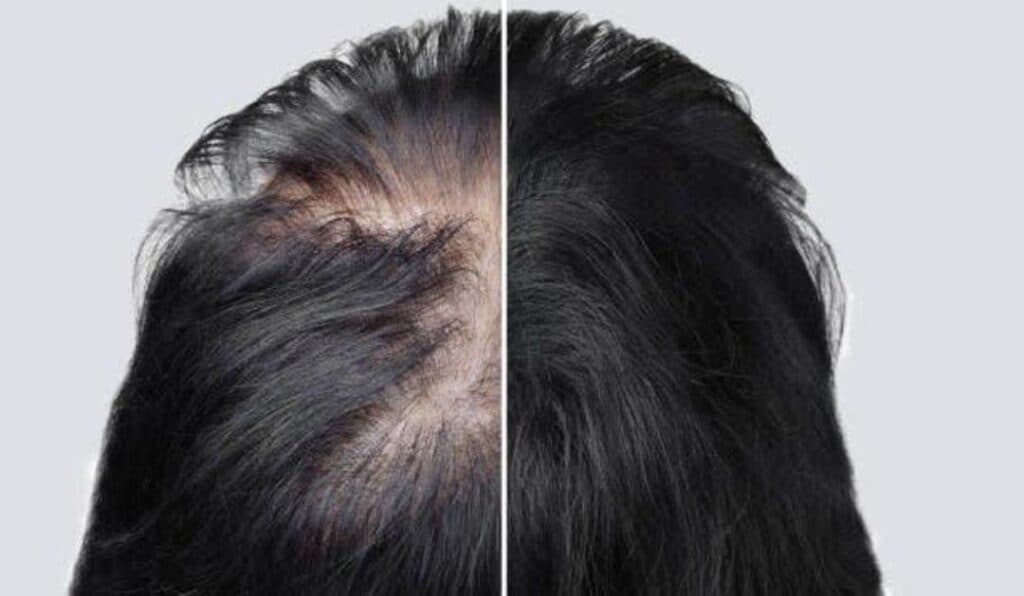 درمانگاه شبانه روزی تخصصی و عمومی حیات در اردبیل