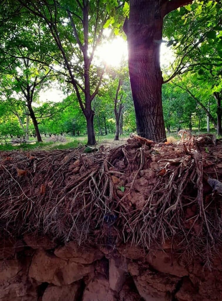 اقامتگاه بوم گردی ارجنک سرچهان فارس
