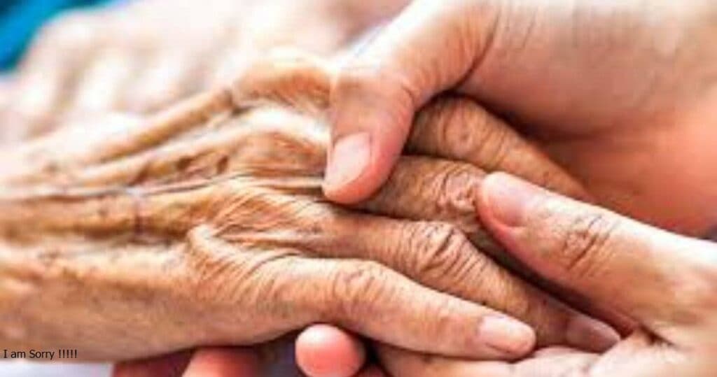 شرکت خدماتی جاوید تجارت یگانه تابان در شیراز