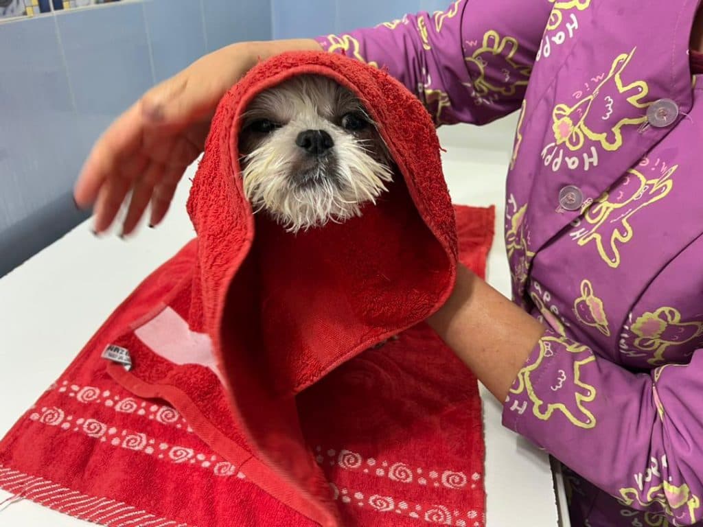 کلینیک پت شاپ پاندا در تبریز