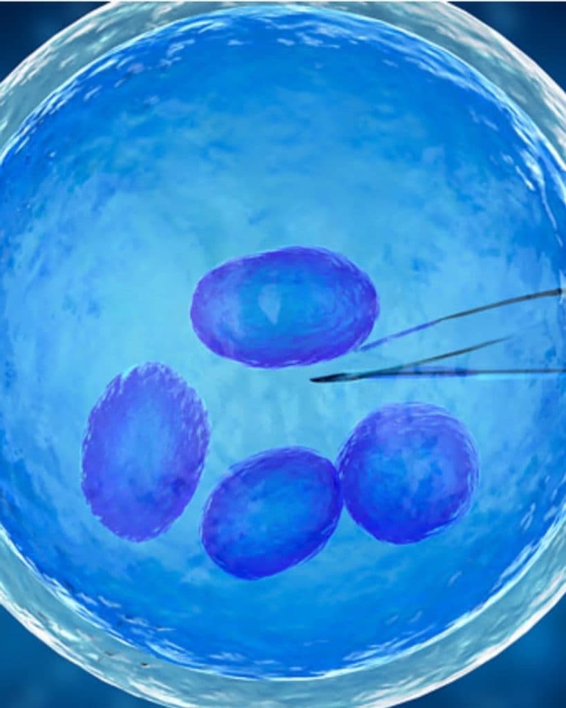 کلینیک اهدای تخمک ناباروری و نازایی مهسا لیاقت در بندر امام خمینی