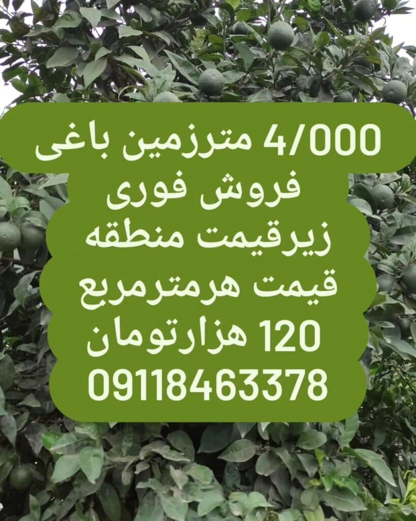 خرید و فروش ویلا و زمین خانعلی پور در املش