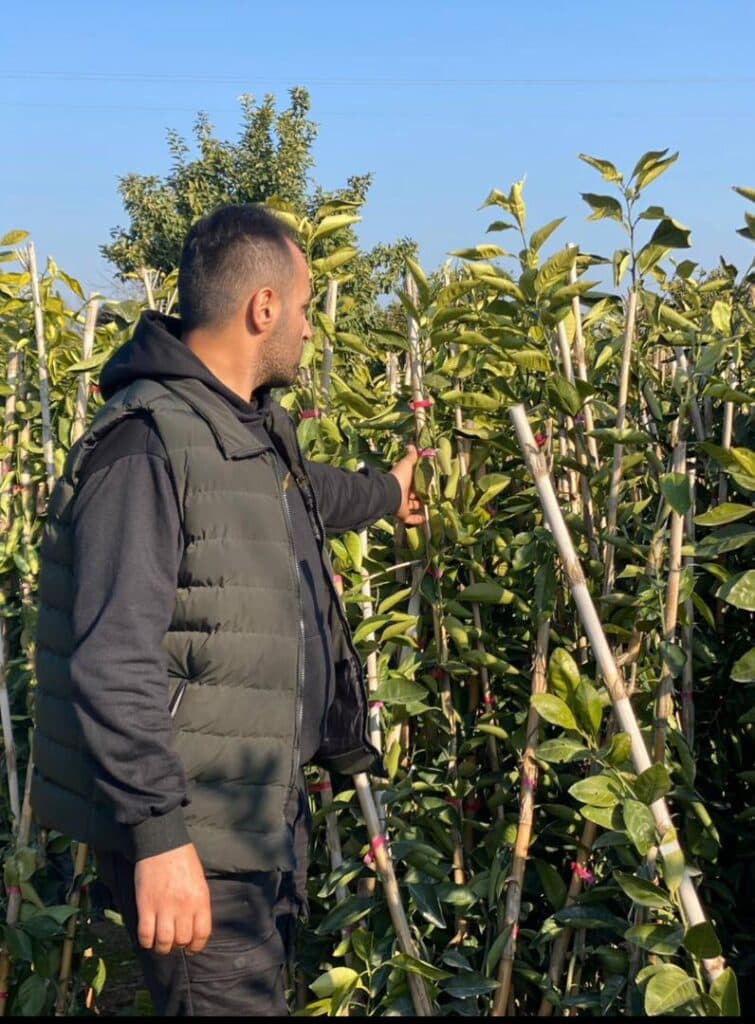 نهالستان و گلخانه برادران روحی در همت آباد ساری