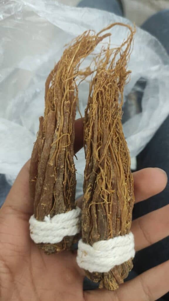 معجون گیاهی درمان کبد چرب و کیست مسترمعجون در شیراز