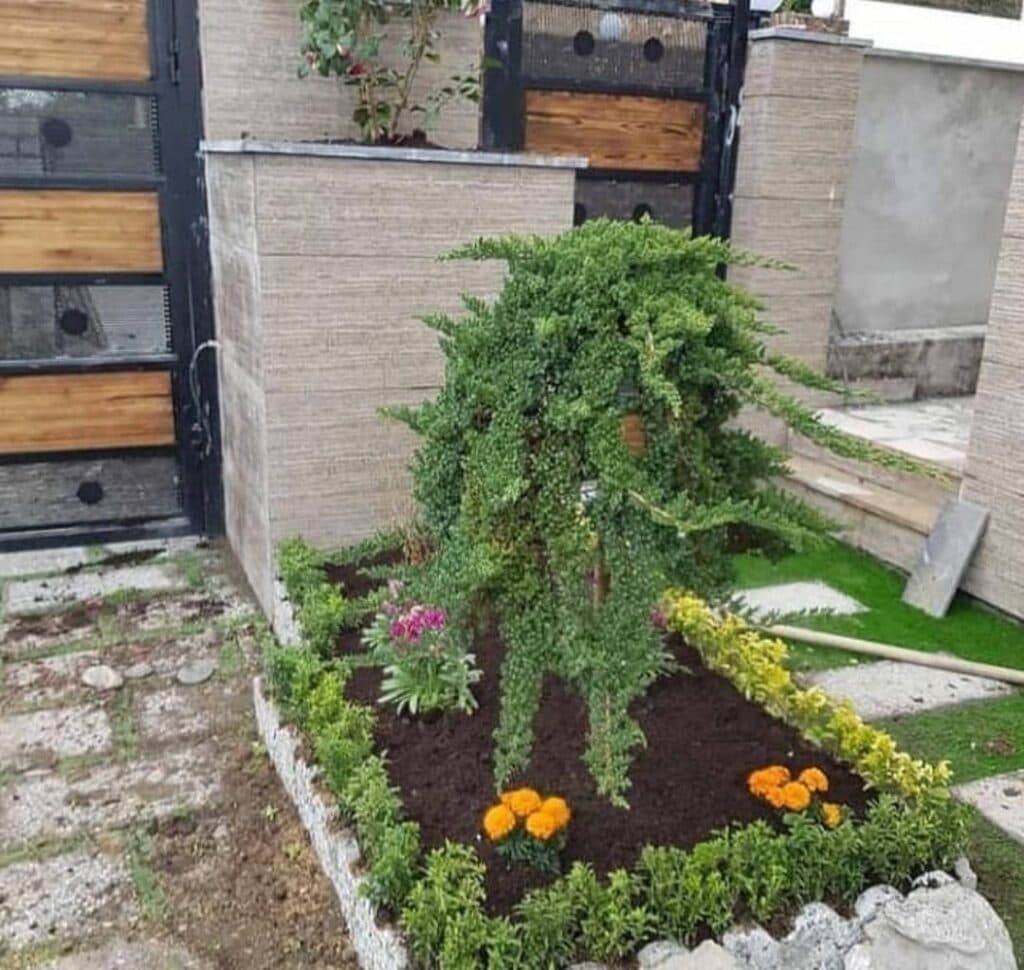 فروش گل و گیاه گلخانه من علی عباسی در بیرجند