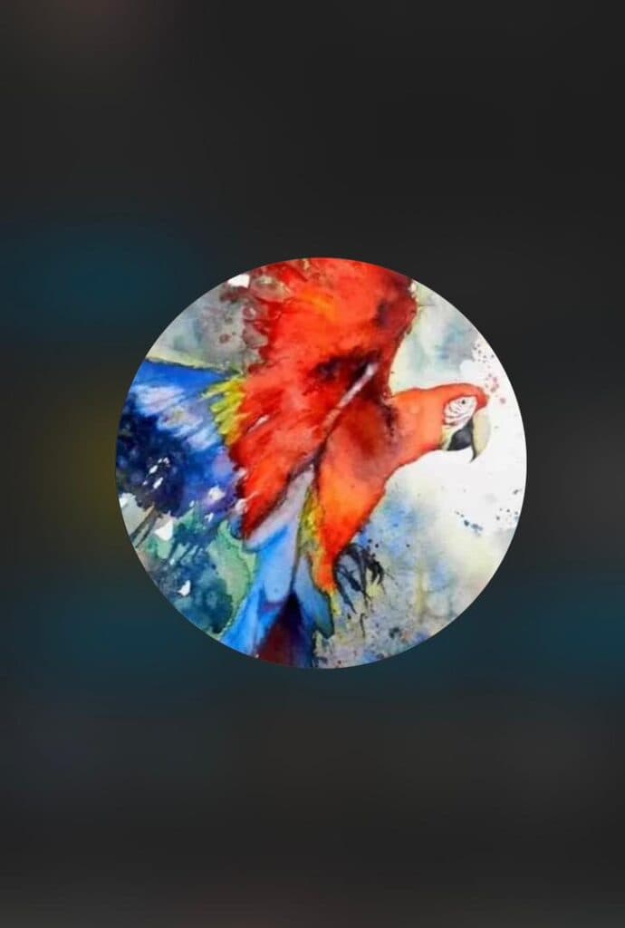 پرنده فروشی و لوازم جانبی و دان پرندگان سیاه و سفید در ارومیه