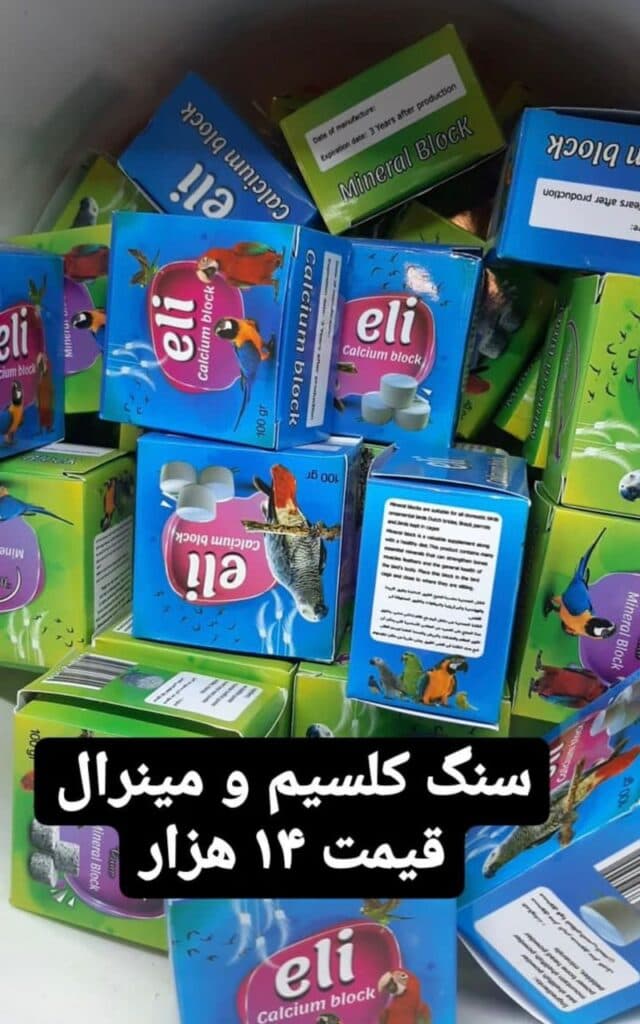 پرنده فروشی و لوازم جانبی و دان پرندگان سیاه و سفید در ارومیه