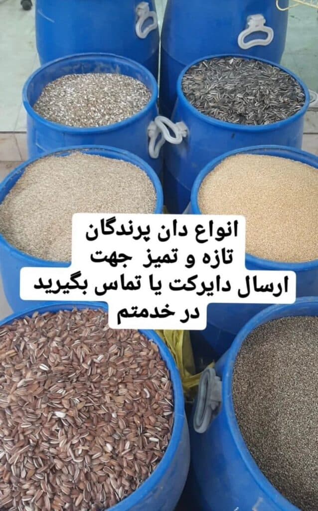 پرنده فروشی و لوازم جانبی و دان پرندگان سیاه و سفید در ارومیه