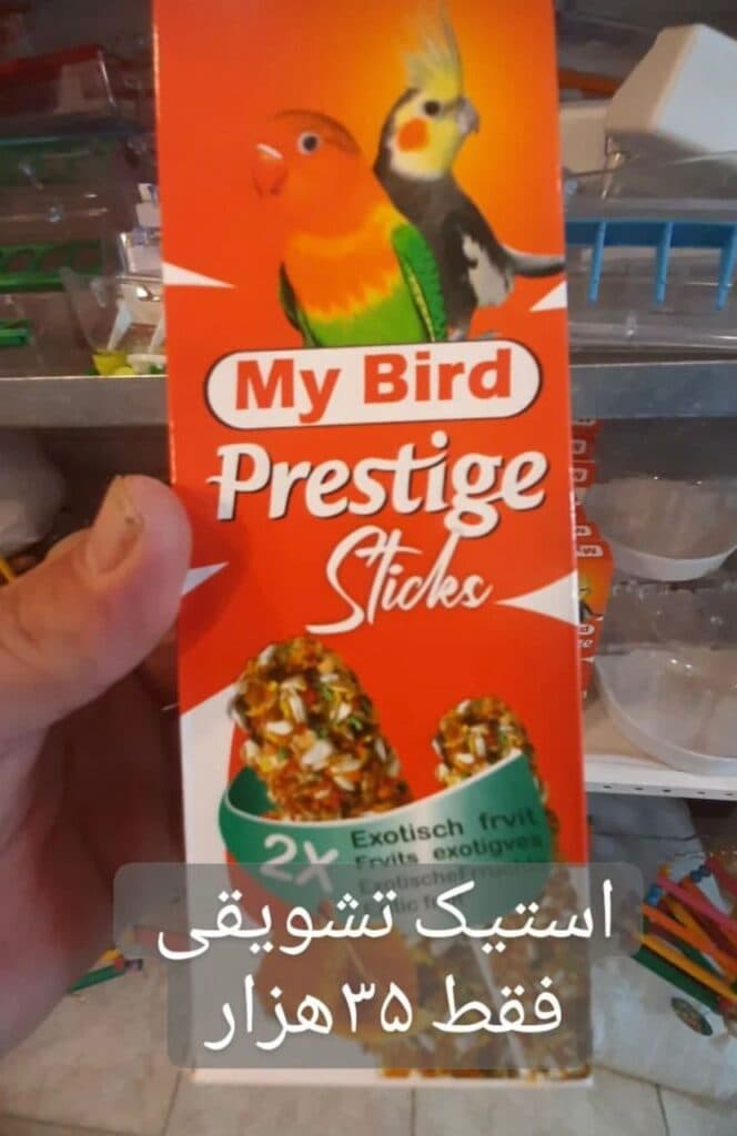 پرنده فروشی و لوازم جانبی و دان پرندگان سیاه و سفید در ارومیه