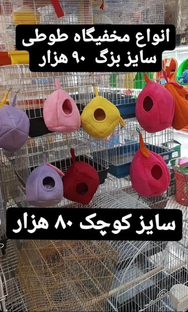 پرنده فروشی و لوازم جانبی و دان پرندگان سیاه و سفید در ارومیه