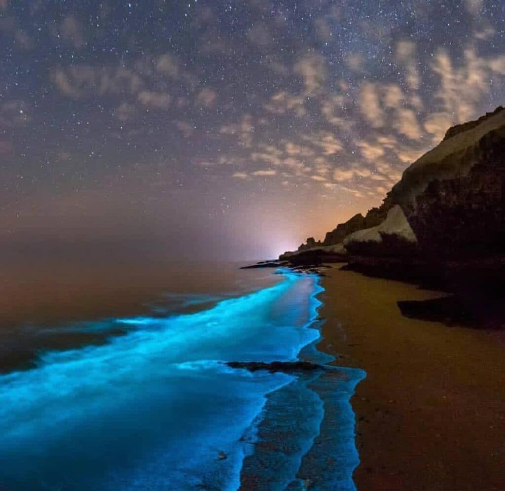 خدمات گردشگری دریایی ناخدای هفت دریا در بندر مقام