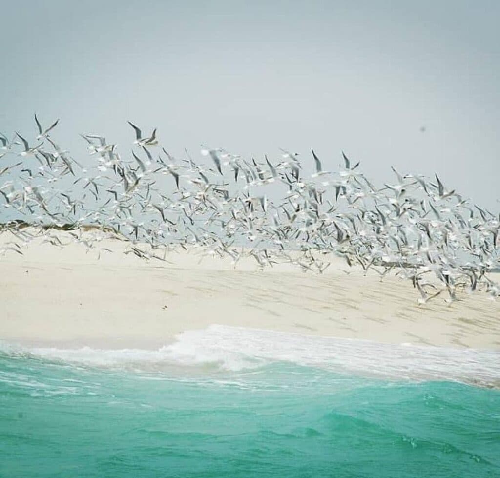 خدمات گردشگری دریایی ناخدای هفت دریا در بندر مقام