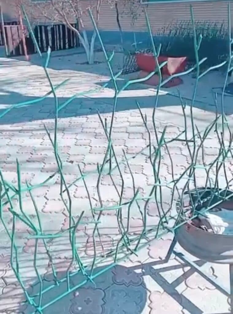 تولید و فروش حفاظ شاخ گوزنی تبریز حفاظ سعادت در تبریز