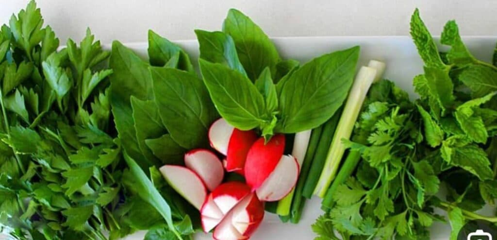 تولید و فروش محصولات شمال حاج علی بابلی در دلیجان