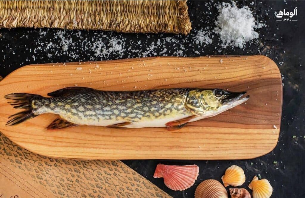 فروش ماهی پاک شده الو ماهی شمال در رشت