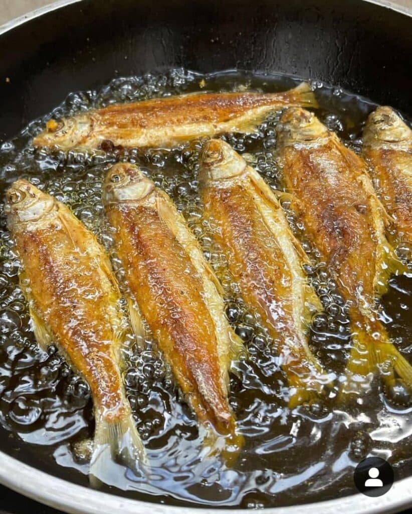 فروش ماهی پاک شده الو ماهی شمال در رشت