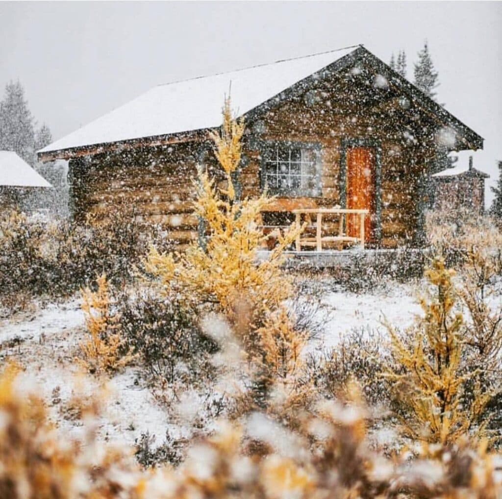 طراحی ساخت دکوراسیون داخلی کابینت کلبه چوبی persian wood در تهران