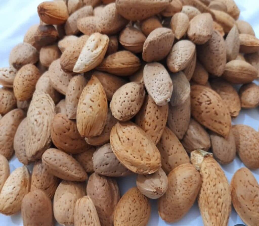 پخش و فروش خشکبار رابعی در آق قلا