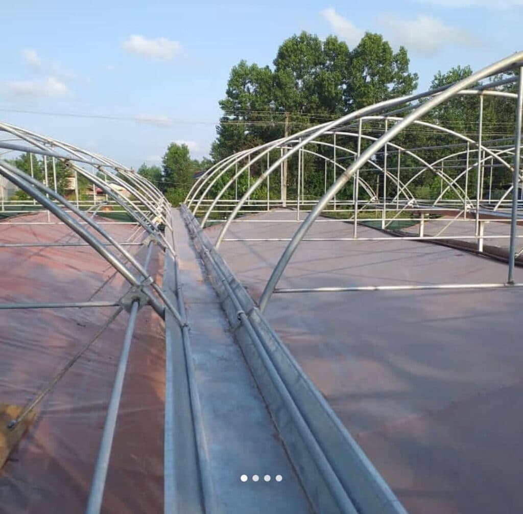 نصب و اجرا گلخانه صنعتی و مدرن حسینی در رشت