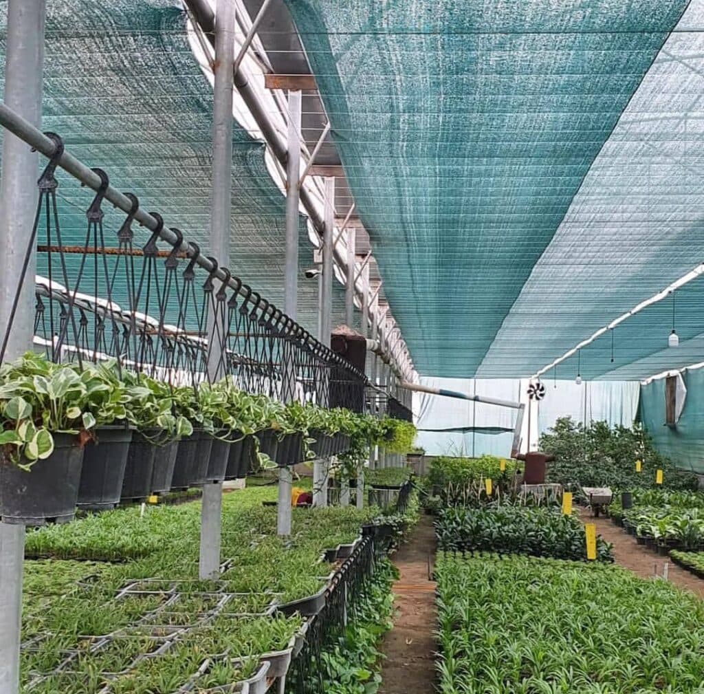 نصب و اجرا گلخانه صنعتی و مدرن حسینی در رشت