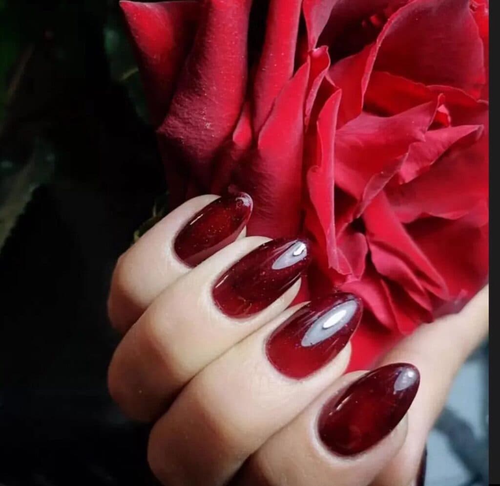 سالن عروس VIP هانیه سبحانی در شیراز