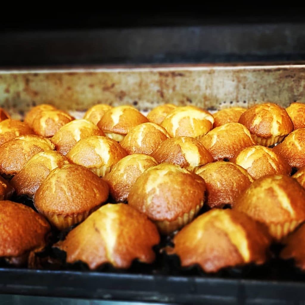 نان فانتزی جنوب در گلستان