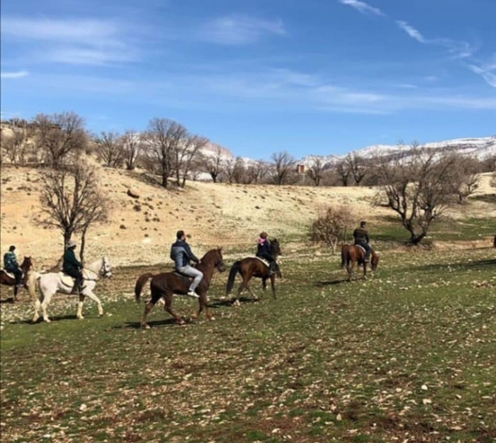 باشگاه سوارکاری حریر در ایلام