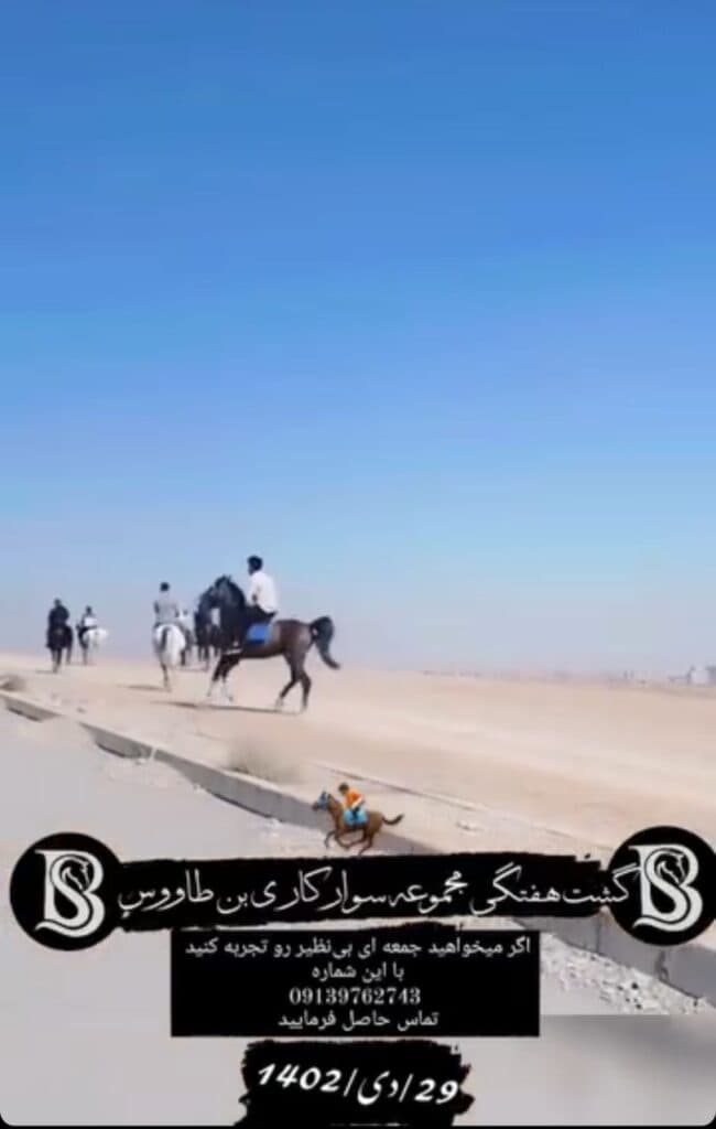 باشگاه سوارکاری بن طاووس در فولادشهر