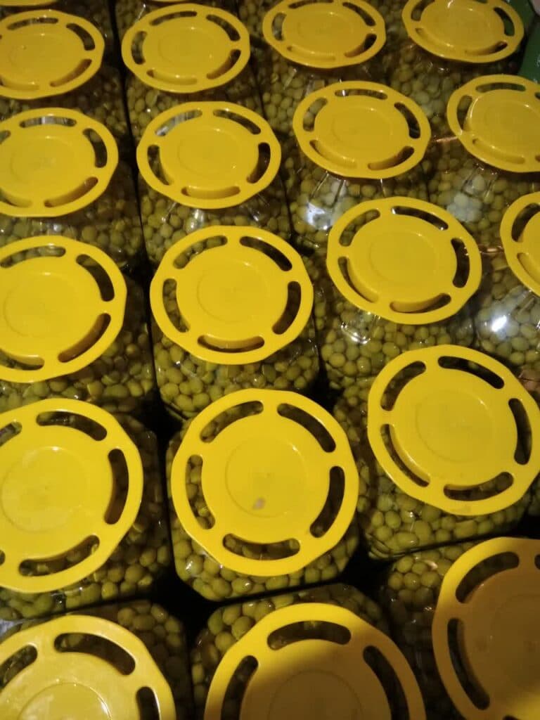 پخش و فروش عمده زیتون رضایی در طارم