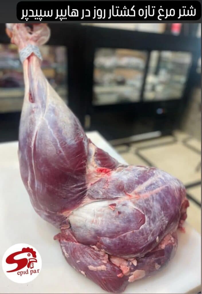 فروشگاه هایپر پروتئین سپیدپر در هشتگرد