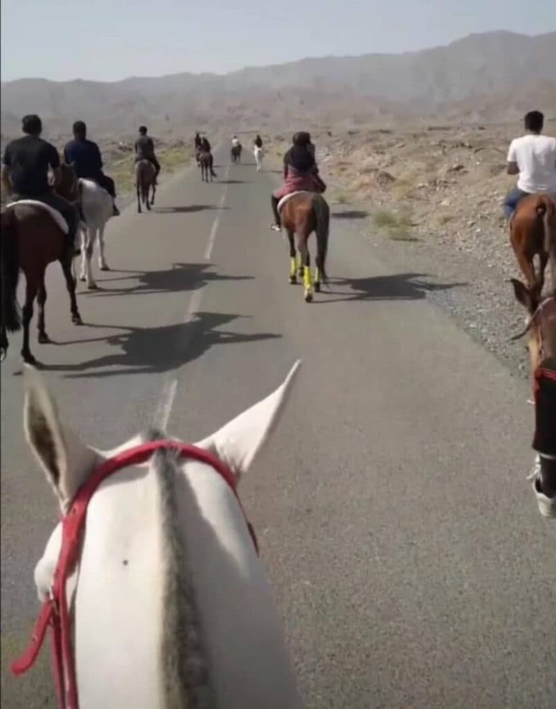 باشگاه سوارکاری آریابان در بیرجند