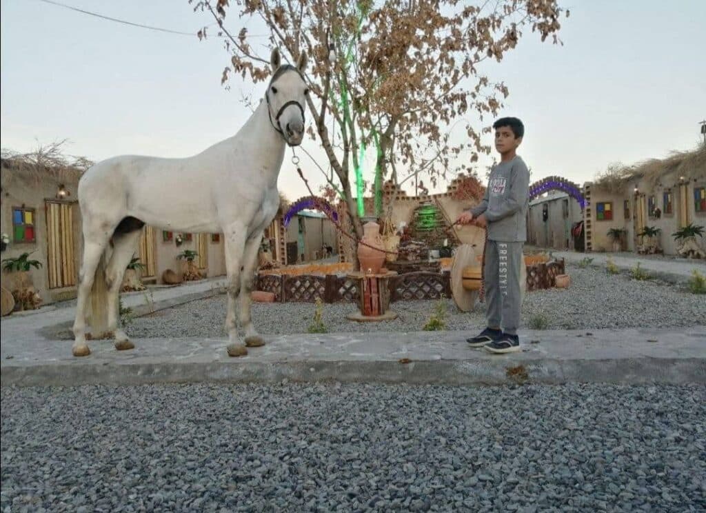 باشگاه سوارکاری آریابان در بیرجند