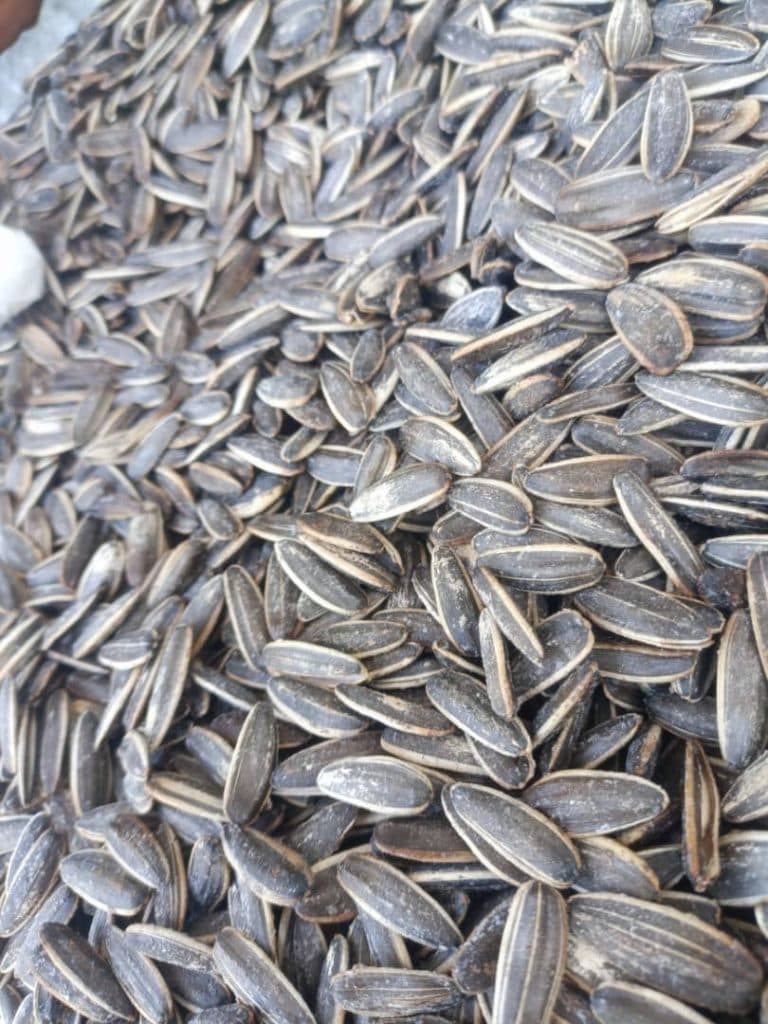 آجیل سرای عباسی در نجف آباد