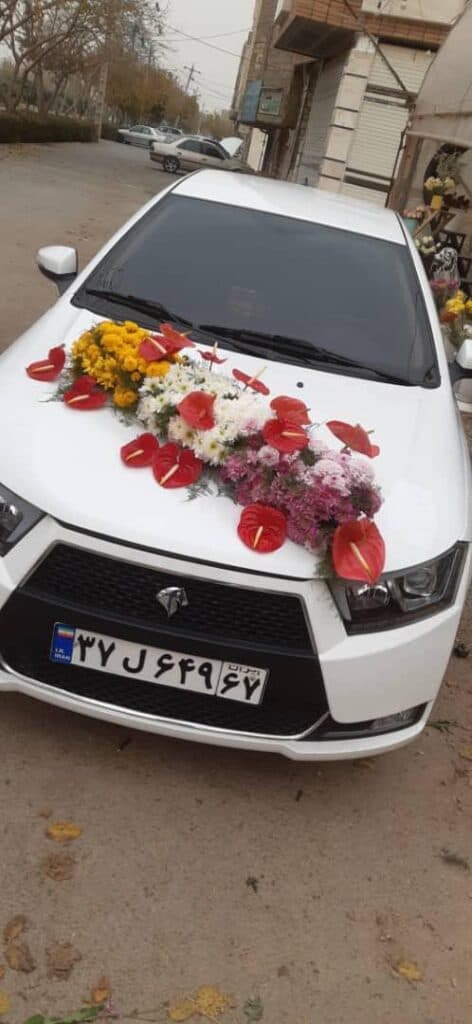 تولید و پخش گل و کاکتوس مهدی در اصفهان