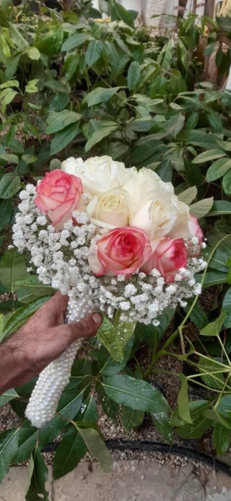 تولید و پخش گل و کاکتوس مهدی در اصفهان