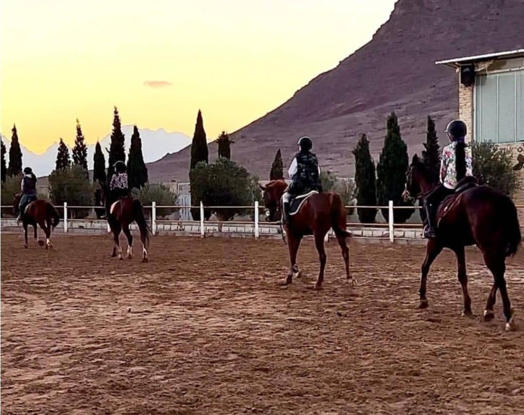 مجموعه سوارکاری و تفریحی پرتوسبز در تفت