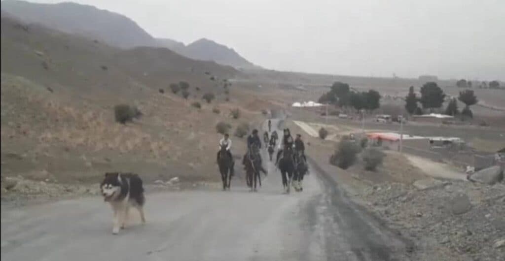 باشگاه سوارکاری آریابان در بیرجند