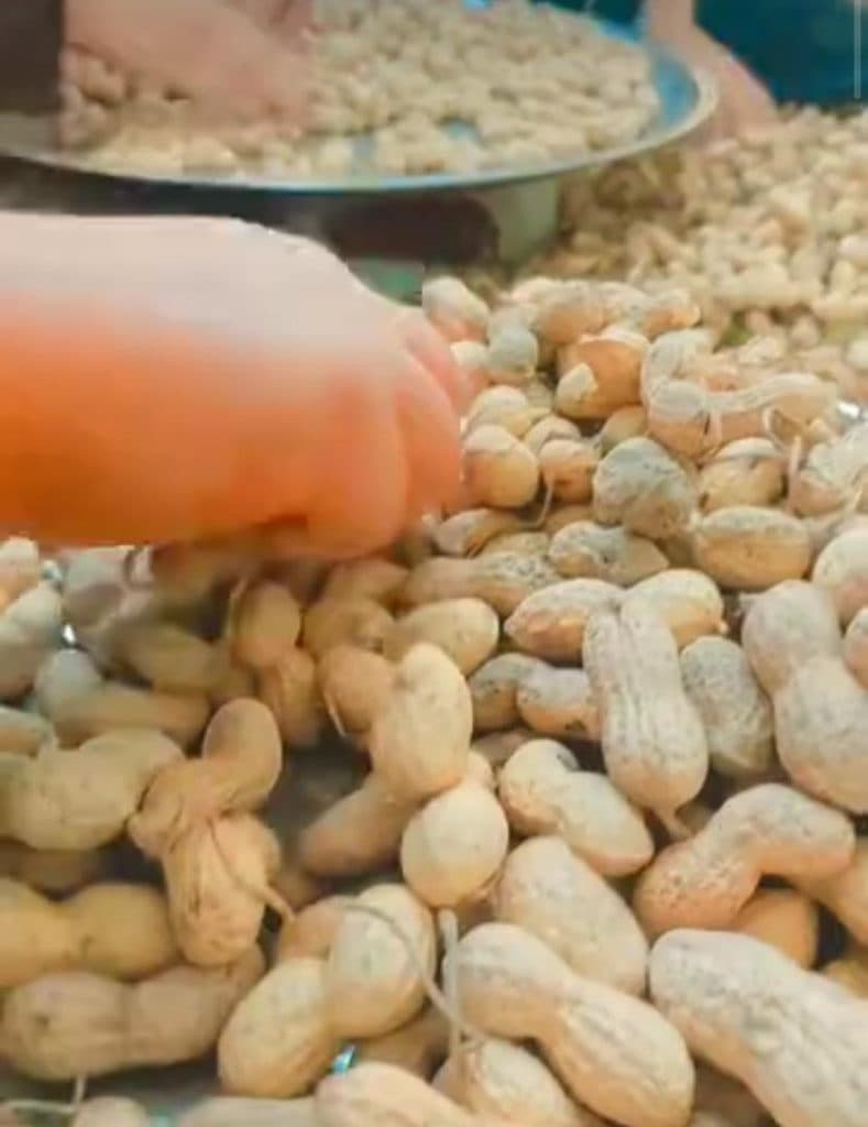 فروش آنلاین بادام زمینی صدرا آران در تبریز