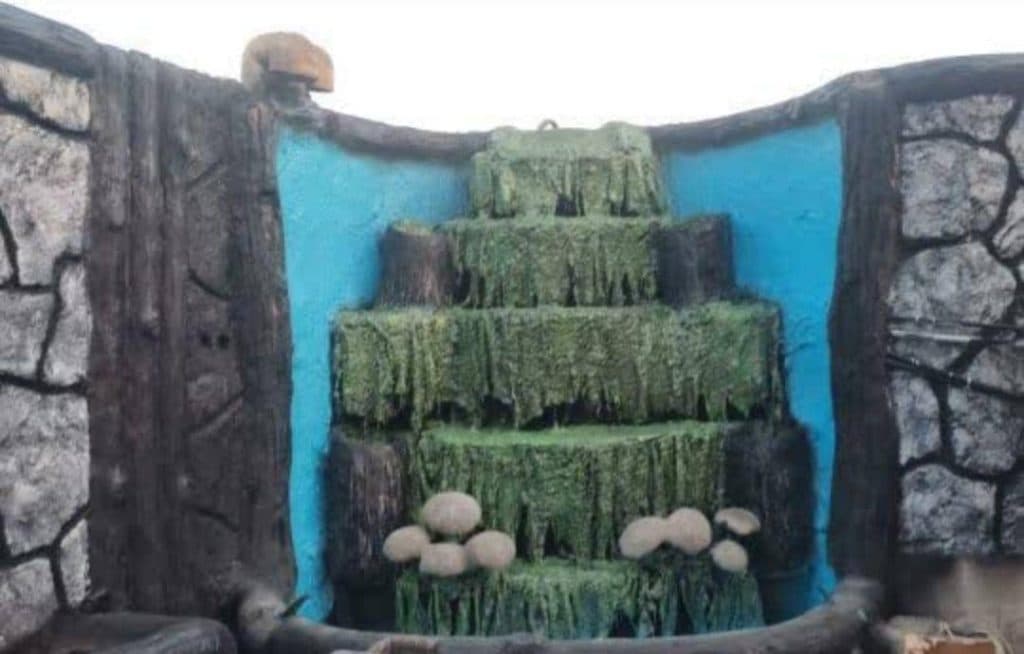 اجرای نمای رومی سیمانی گروه ساختمانی باختر در قم