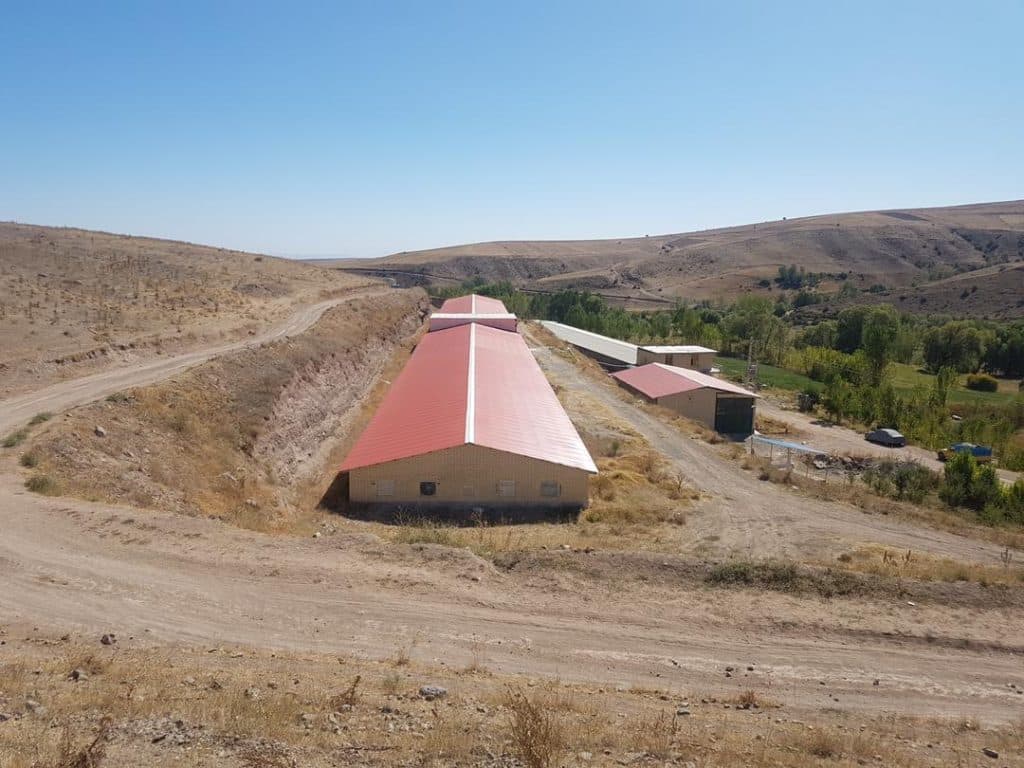 اجرا شیروانی و سوله ایران سقف در اردبیل